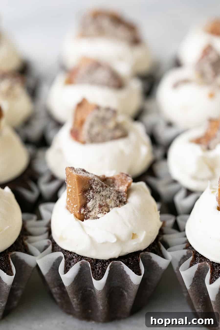Close-up shot of a perfectly frosted toffee chocolate cupcake, showing the texture and toffee garnish