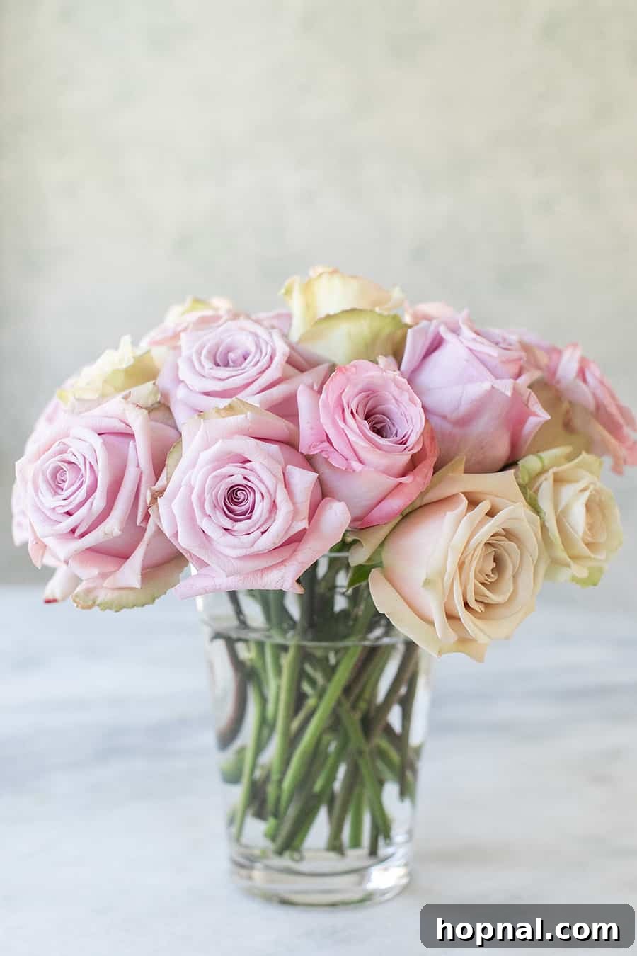 Twin Rose Elegance 2 Stunning rose arrangement in a clear glass vase, showcasing vibrant blooms