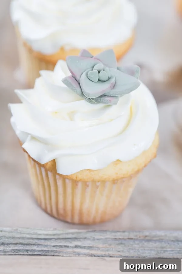 close up of mini cake with succulent on it