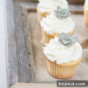 DIY Cupcake Toppers - Edible Succulents