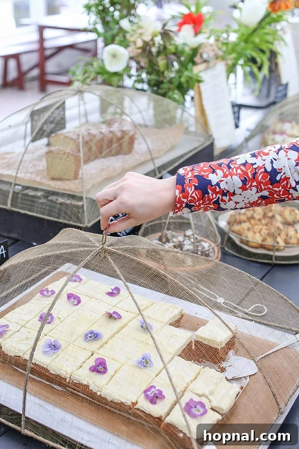 Elevate Outdoor Dining with Chic Food Covers 2 mesh food dome over cake