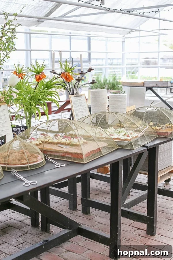 Elevate Outdoor Dining with Chic Food Covers 3 mesh food domes over desserts