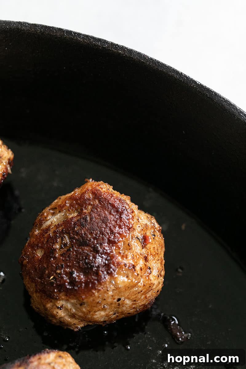 Savory Turkey Meatball Delights 8 A single golden brown turkey meatball, perfectly cooked and resting in a cast iron pan, ready to be served.