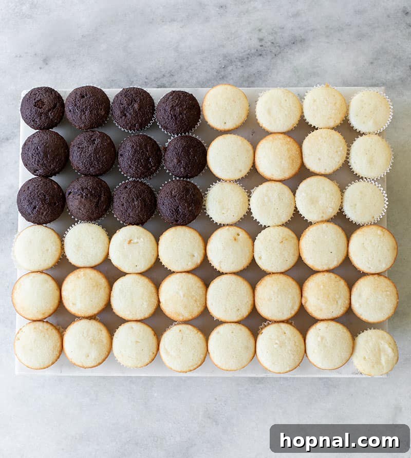 Mini cupcakes arranged in the shape of a flag, awaiting frosting