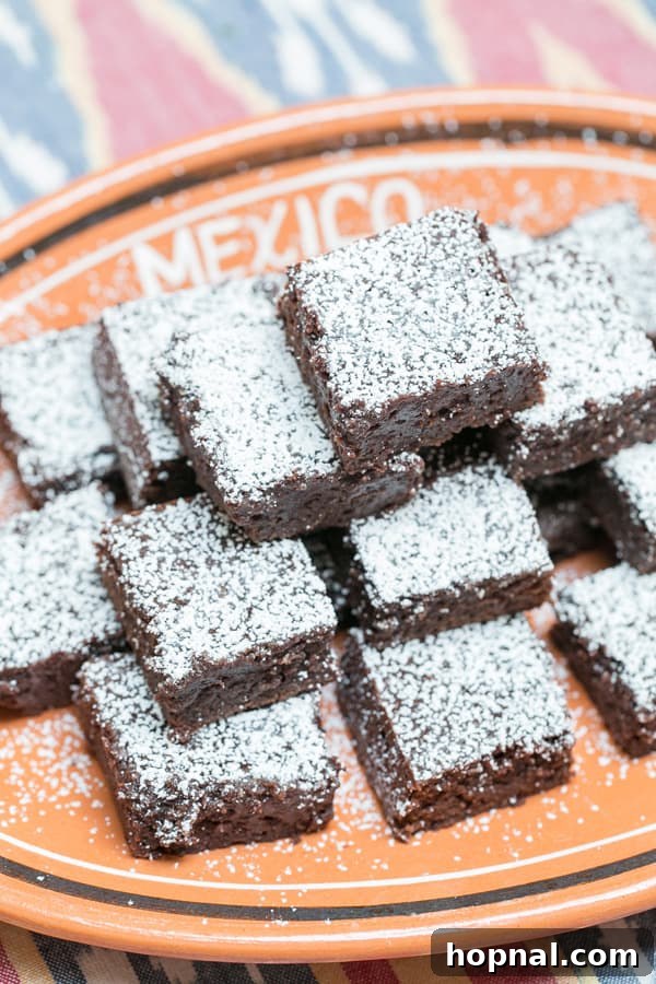 Chocolate Mexican brownies with powdered sugar, showcasing their rich texture and festive topping.
