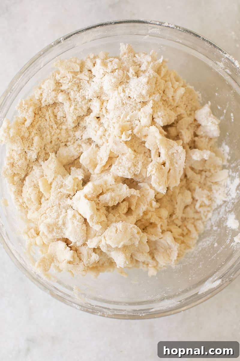 Close-up of shaggy pie crust dough in a metal mixing bowl, showcasing its perfectly crumbly texture before being formed into discs.
