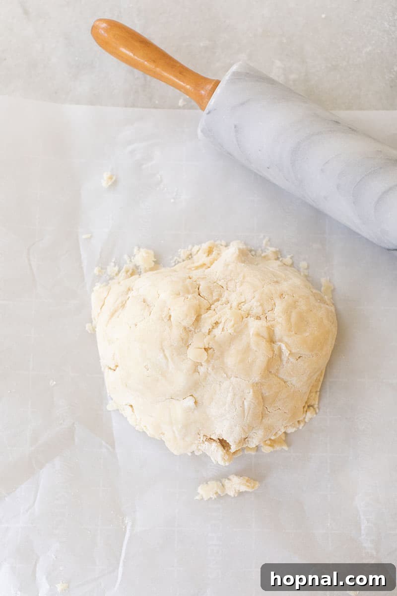 A perfectly shaped ball of easy buttery pie dough ready to be rolled with a rolling pin on parchment paper, lightly dusted with flour.