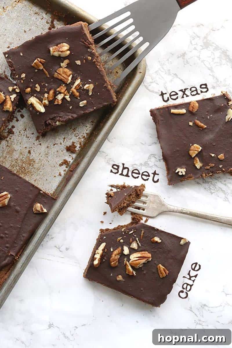 Overhead view of a classic Texas Sheet Cake, rich with chocolate frosting and ready to be cut into squares.