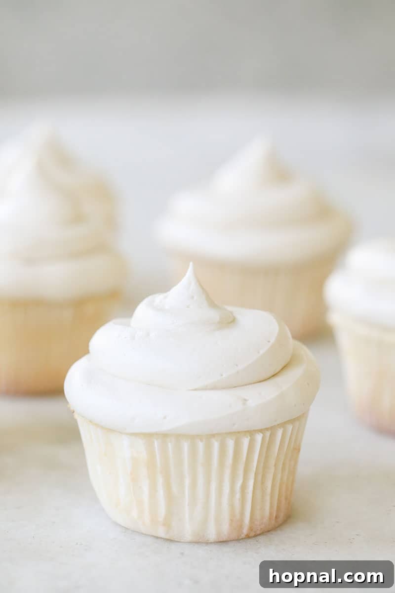 A simple vanilla cupcake recipe with vanilla buttercream.