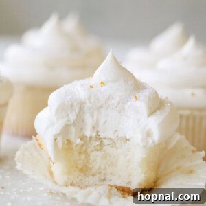 Vanilla cupcake with vanilla frosting.
