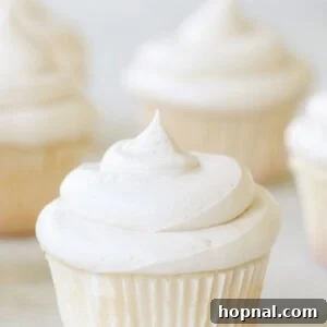 Vanilla cupcakes with buttercream frosting.
