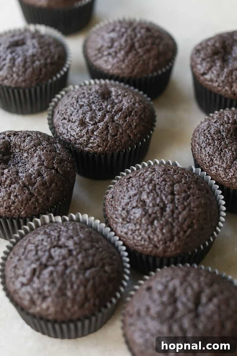 Freshly baked black velvet cupcakes without frosting, showing their deep color and fluffy texture before decoration.
