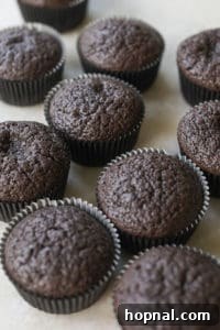 Baked black velvet cupcakes in a tin.