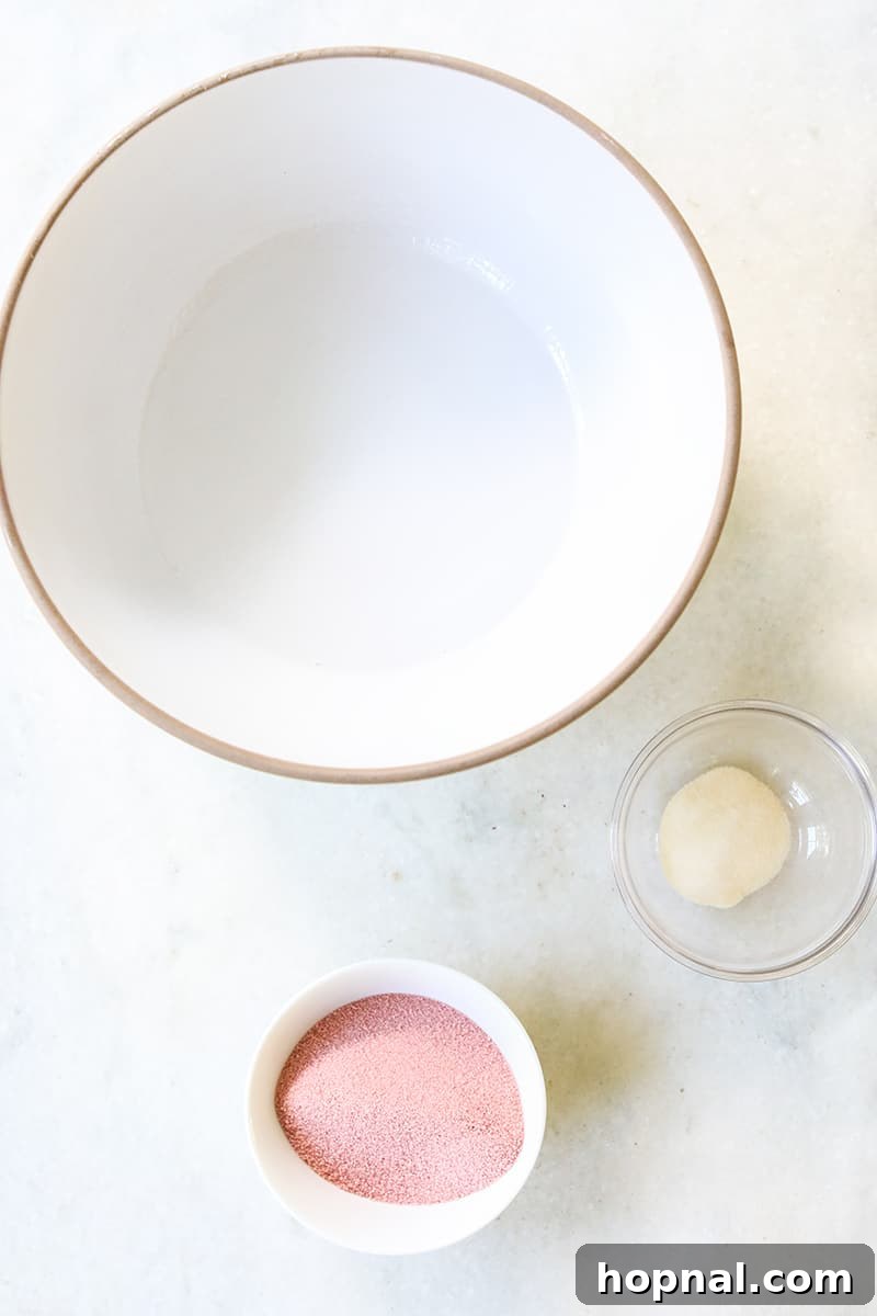 A white bowl contains all the essential ingredients for jello shots: clear vodka, unflavored gelatin, and vibrant red jello powder.