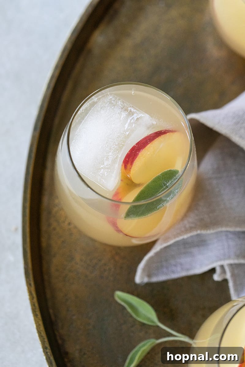 Sparkling Apple Ginger Wine Spritzer Your Fall Drink 3 Wine spritzer with apple and ginger, served on a gold tray alongside a large ice cube.