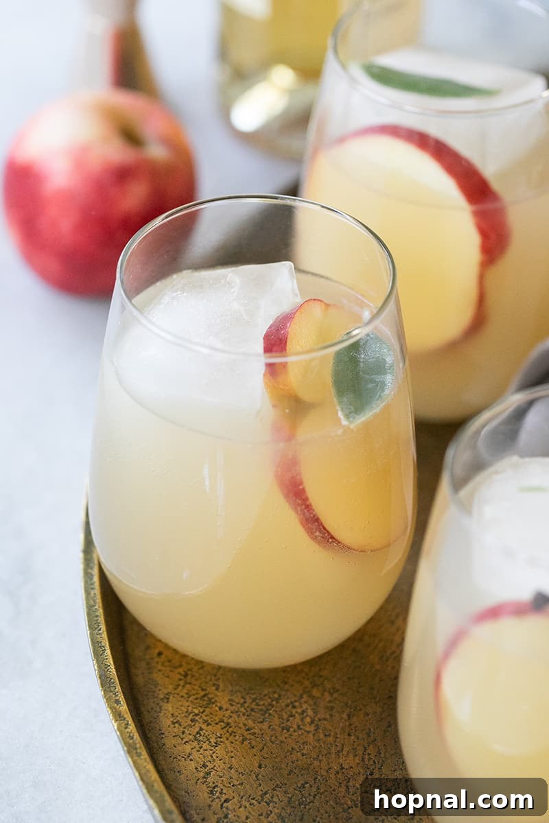 Sparkling Apple Ginger Wine Spritzer Your Fall Drink 4 Fall wine spritzer with apple, ginger, and Lillet, served in a glass with a fresh apple garnish.
