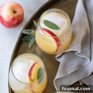 Sparkling Apple Ginger Wine Spritzer Your Fall Drink 8 Easy Apple & Ginger Wine Spritzer for Fall