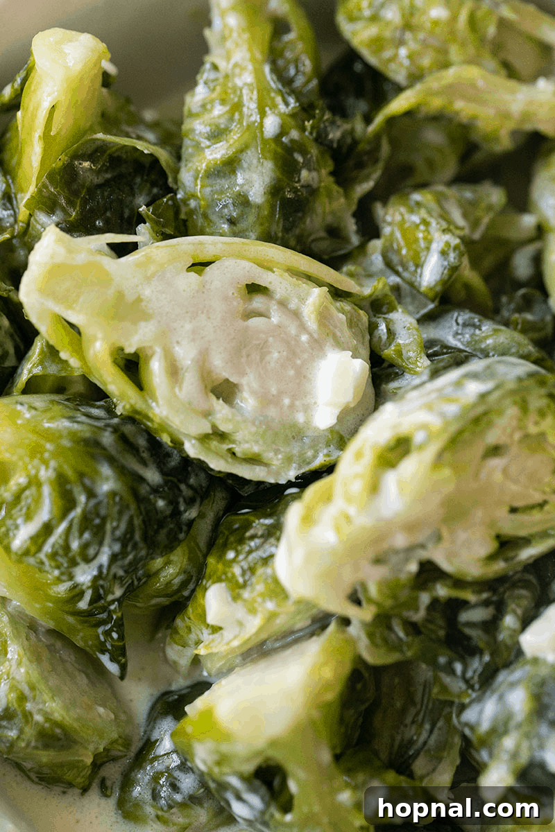 A bowl of creamy Brussels sprouts, perfectly cooked and seasoned, ready to be served as a delicious Thanksgiving side dish.
