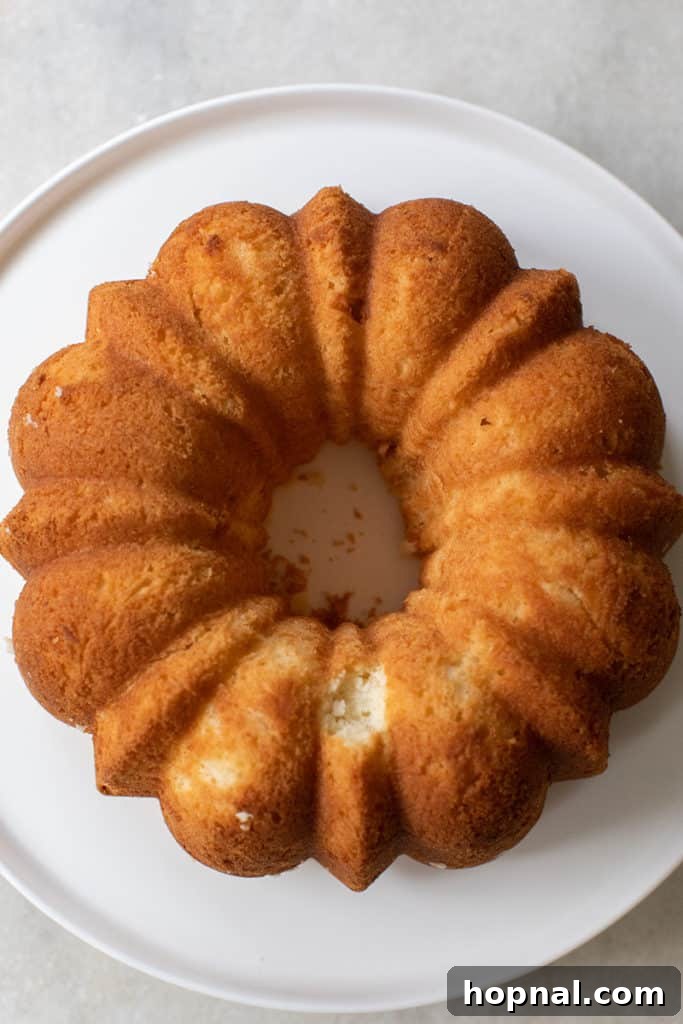 A festive dessert cake, elegantly presented for the holiday season.