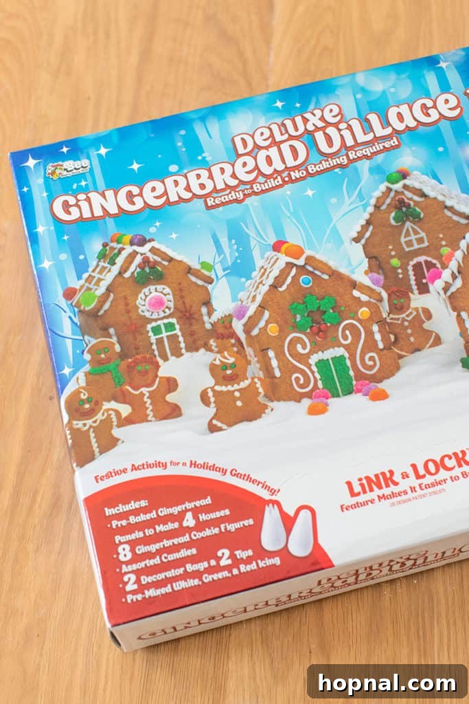 Close-up of a perfectly constructed gingerbread box.