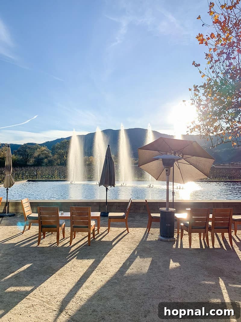 Tranquil water features and fountains at Alpha Omega Winery in Napa