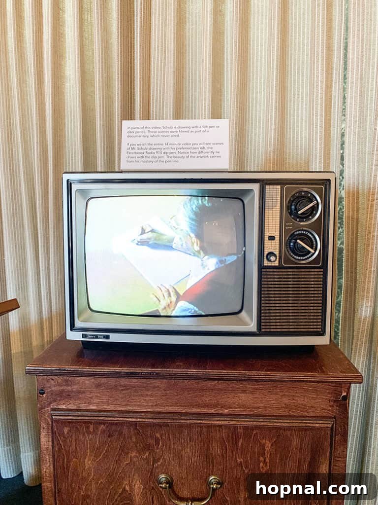 Another view of the captivating exhibits inside the Charles M. Schulz Museum