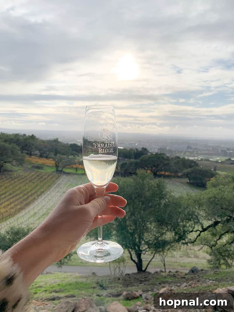 A glass of sparkling wine at Paradise Ridge Winery in Santa Rosa, reflecting the beautiful surroundings