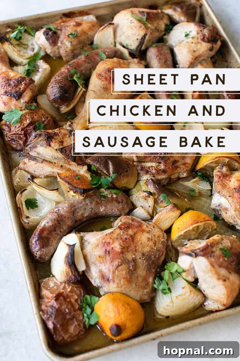 Golden brown sheet pan chicken and sausage bake with roasted apples and lemons, ready to serve.