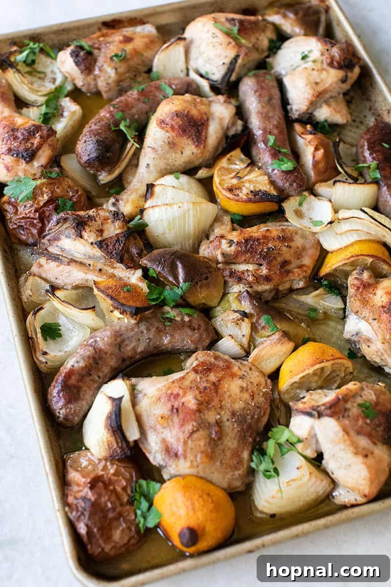 Fully baked chicken, sausage, apples, onions, and lemons on a single sheet pan, a complete meal.