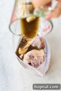 Cut up chicken in a marinating bag with sliced onions and lemons.