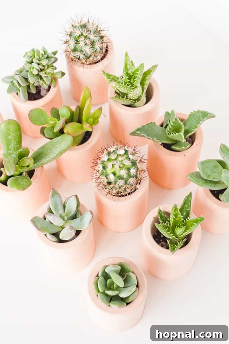 Heartfelt Creations: 14 DIY Valentine's Day Projects 11 Adorable DIY mini pink planters with small plants, a charming and lasting Valentine's Day gift or office decor.