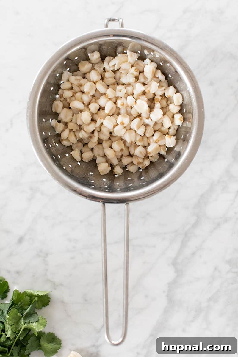 Hominy Soup The Ultimate Winter Comfort 7 Rinsed hominy kernels draining in a colander, ready to be added to the pozole soup.