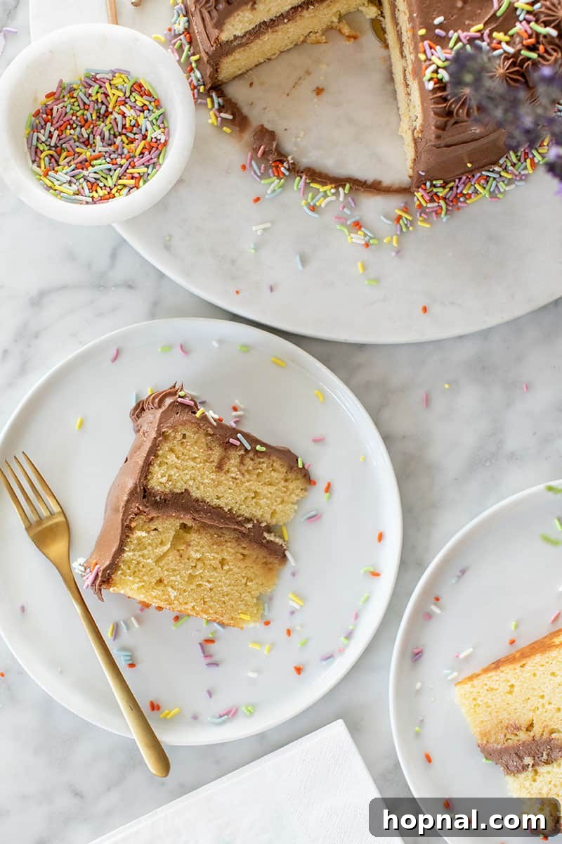 25 Heavenly Homemade Cake Creations 11 Homemade birthday cake recipe, moist and classic.
