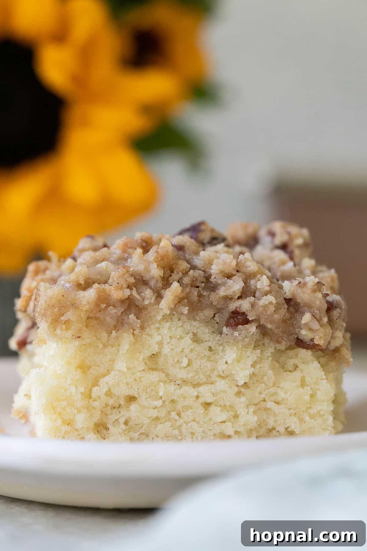 25 Heavenly Homemade Cake Creations 16 Buttery crumb cake recipe, perfect with coffee.