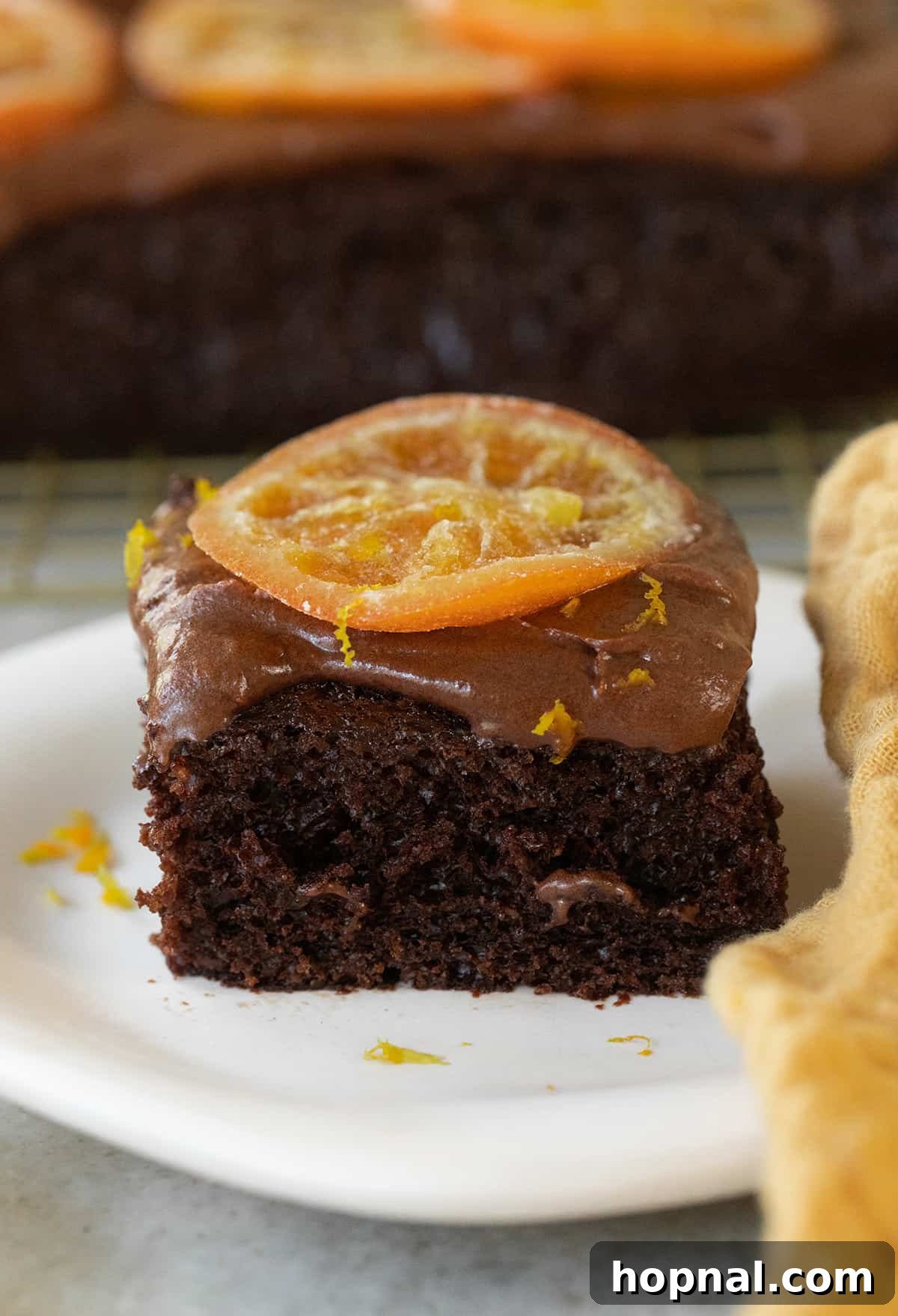 25 Heavenly Homemade Cake Creations 5 A fluffy chocolate orange cake slice with a candied orange on the top, a decadent treat.