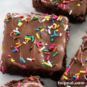 Homemade brownies with sprinkles.