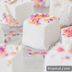 A freshly made, perfectly fluffy homemade marshmallow square, generously dusted with powdered sugar, ready to be enjoyed.