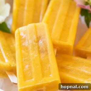Popsicle Recipe