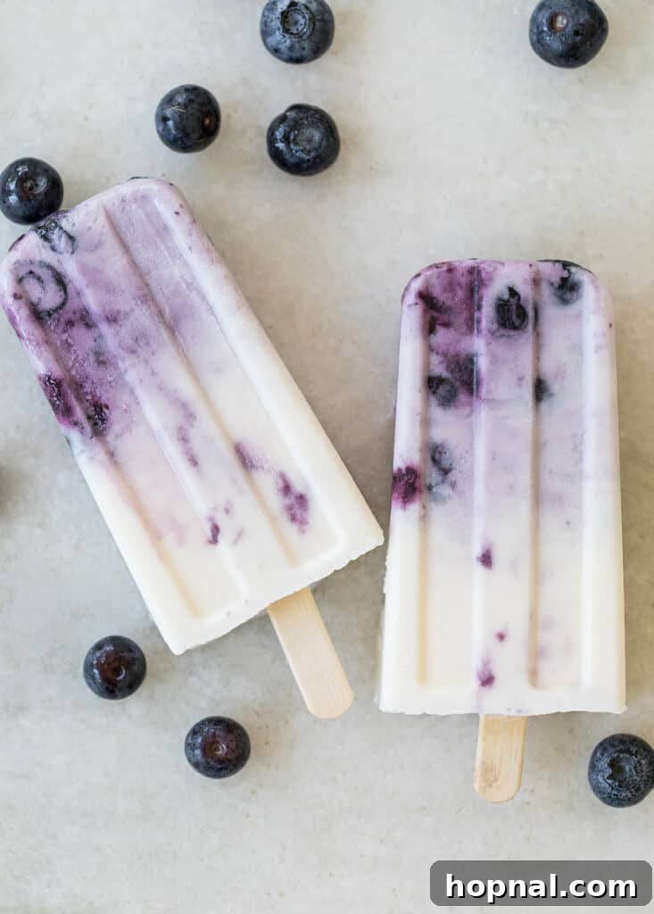 Whip Up Your Own Ice Pops 9 Delicious homemade blueberry popsicles, bursting with fruity flavor and creamy texture.
