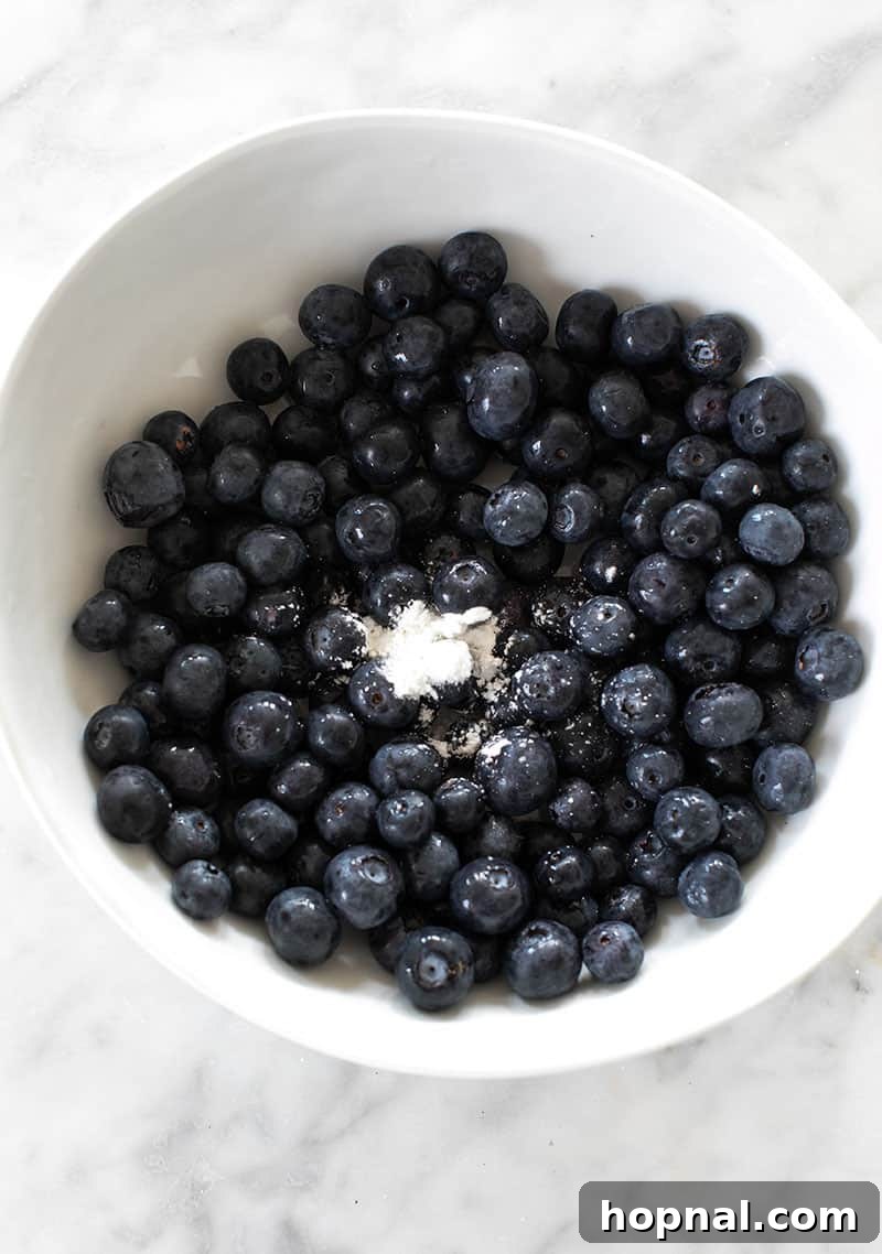 Fresh blueberries lightly dusted with cornstarch in a white bowl, ready for blending into the blue layer of popsicles.