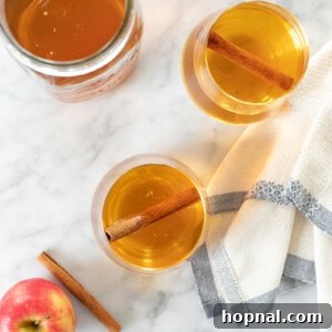 apple pie moonshine in a glass with cinnamon