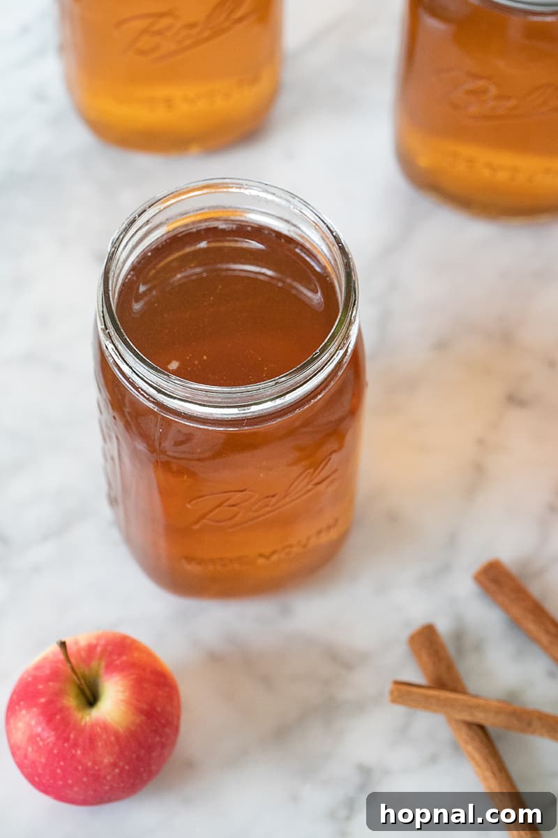 A charming jar of apple pie moonshine, surrounded by fresh apples and cinnamon sticks, highlighting its key ingredients.