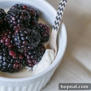 Creamy vanilla panna cotta in a round dish, garnished with fresh fruit.