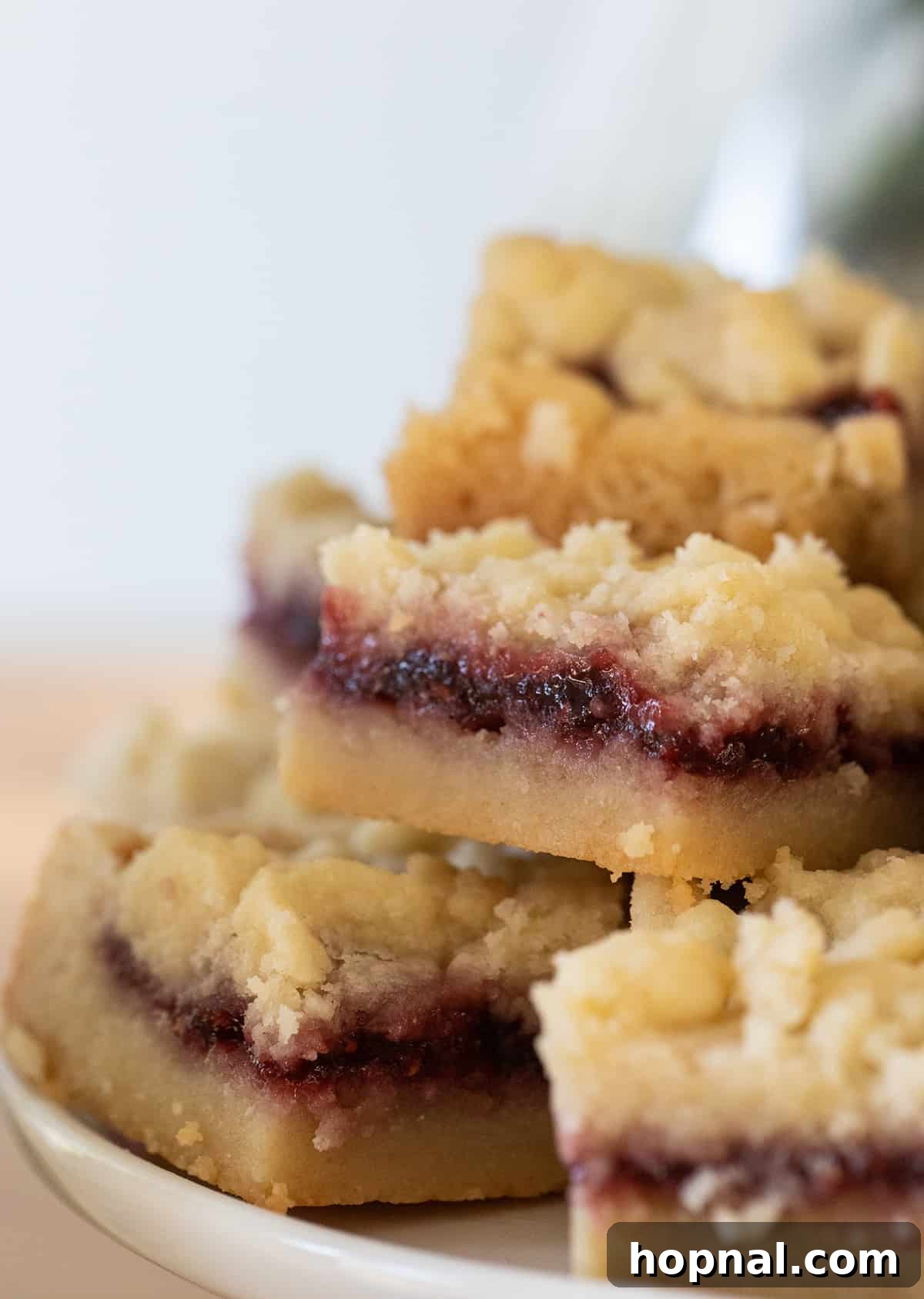 Buttery Shortbread Bars 11 Close-up of buttery shortbread cookie bars with a visible layer of bright jam in the middle and a perfect crumbly topping.