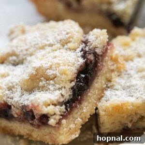 Buttery Shortbread Bars 12 A close-up image of a perfectly baked shortbread cookie bar with a jam filling and crumb topping.