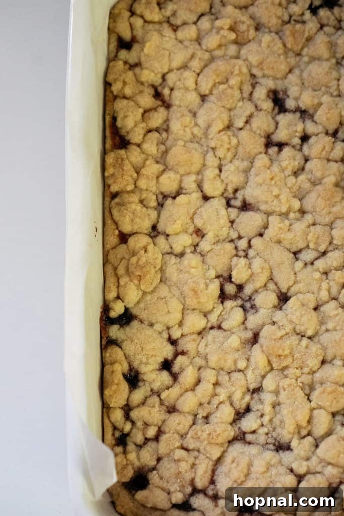Buttery Shortbread Bars 8 Freshly baked shortbread cookie bars just out of the oven, with a golden-brown crumble top.