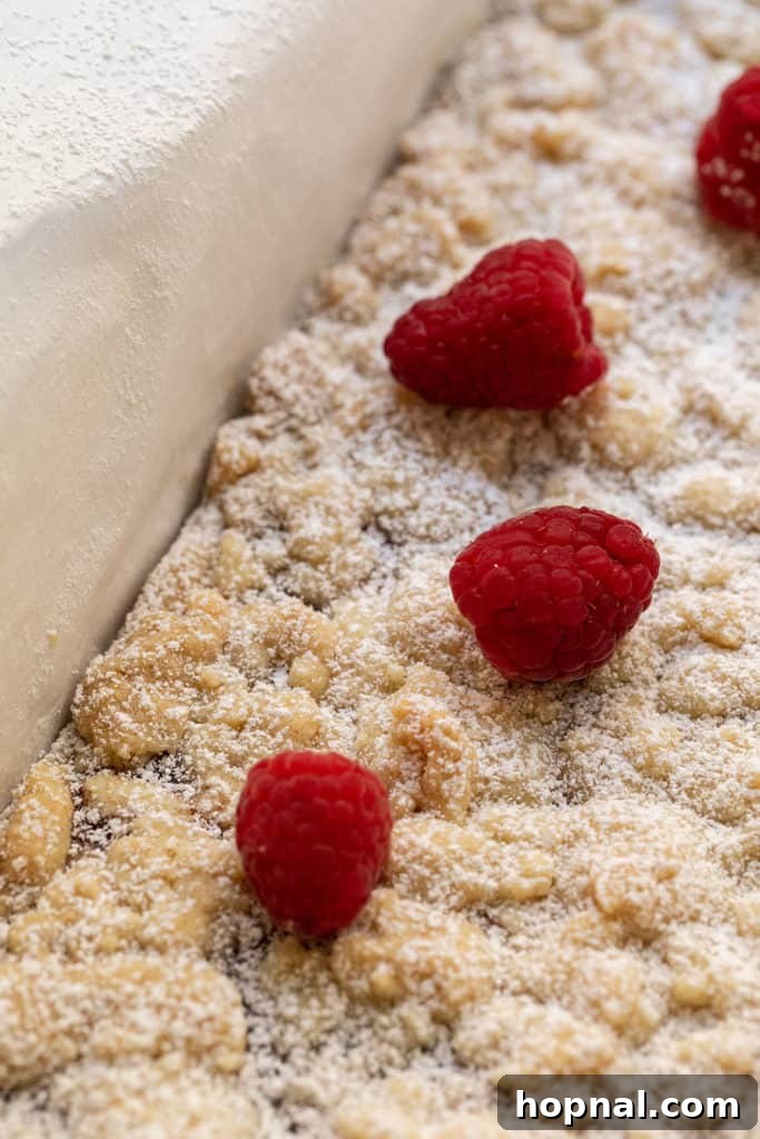 Buttery Shortbread Bars 9 Uncut shortbread cookie bars, dusted with powdered sugar and adorned with fresh raspberries, ready for serving.