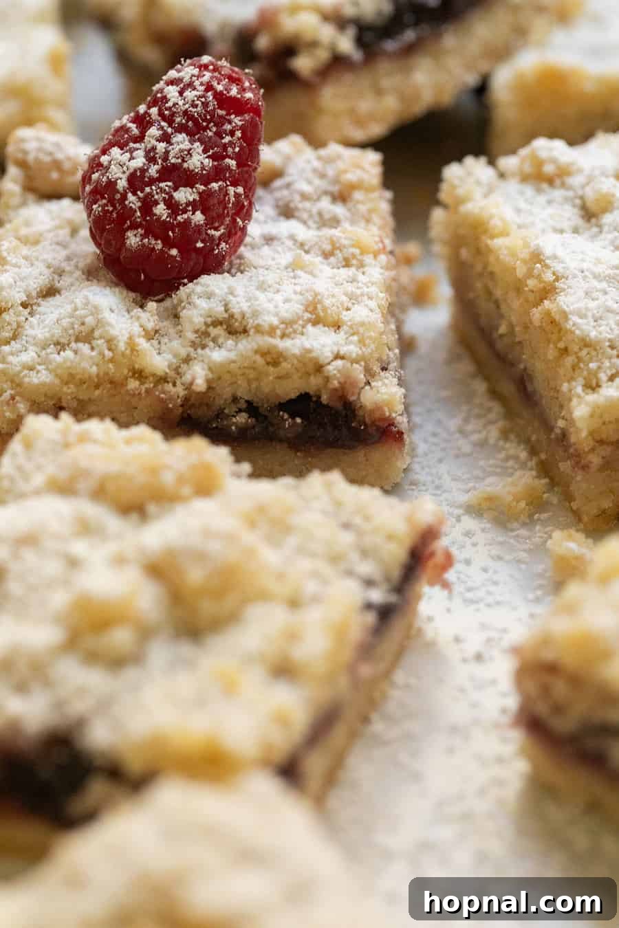 Buttery Shortbread Bars 10 Gorgeous raspberry shortbread crumble bars with a thick, juicy jam filling, ready to be enjoyed.