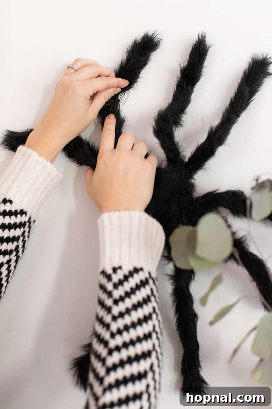 Decorating the house with large Halloween spiders climbing the walls