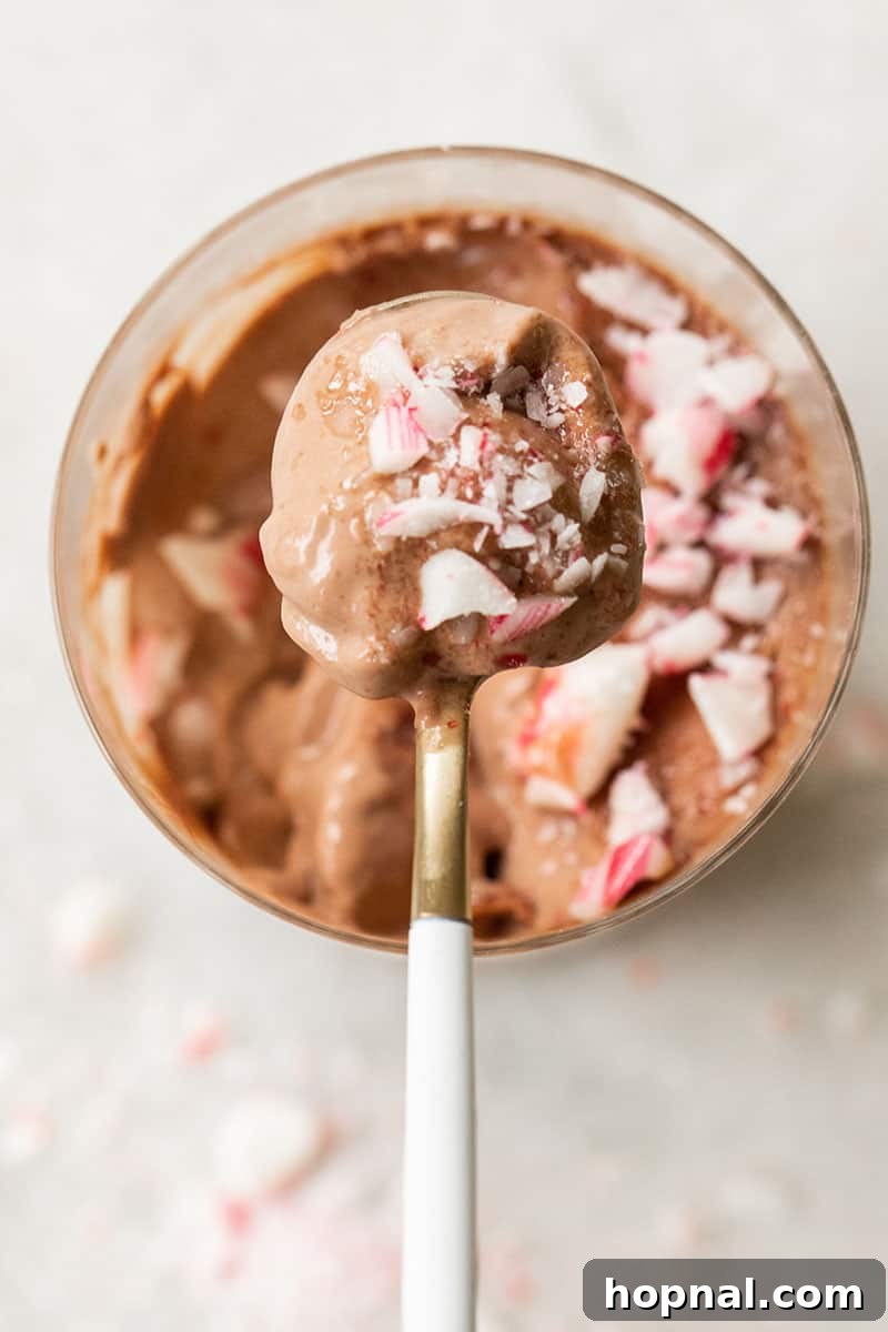 Spoon of chocolate Panna cotta with crushed peppermint, showcasing its rich, creamy texture and festive topping.